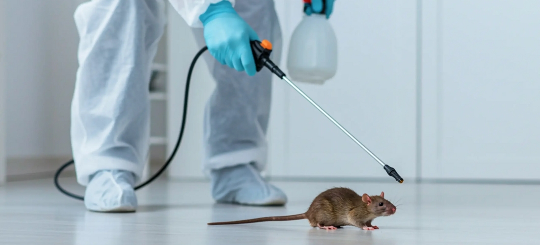pest control company in Hyderabad